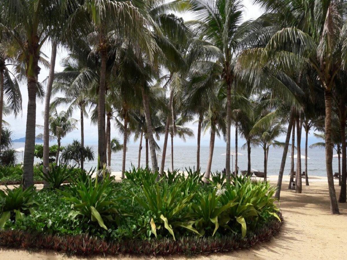 Miami Beach Hotel & Apartment Дананг Экстерьер фото